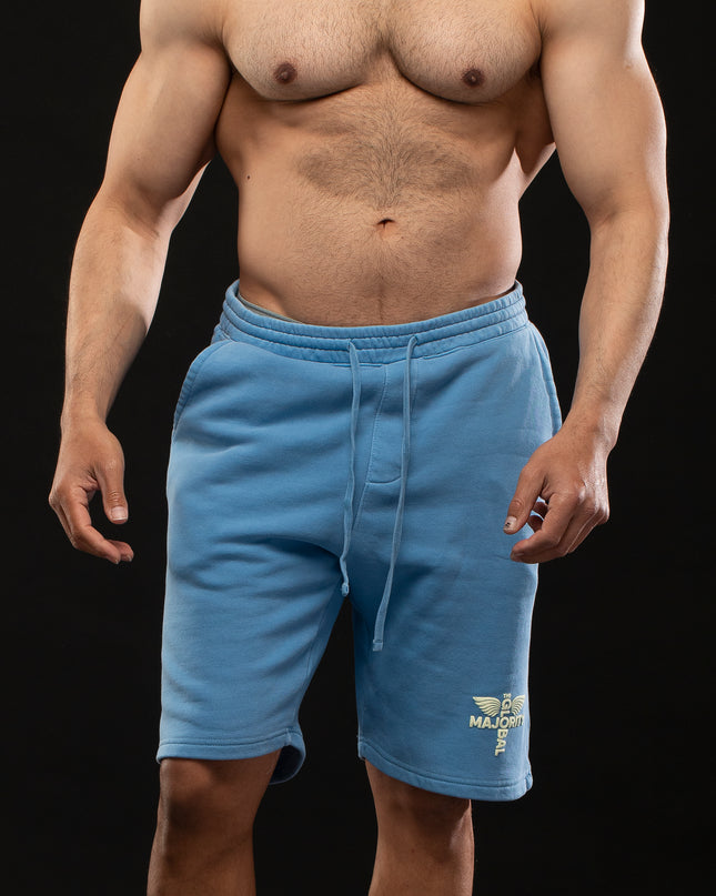 STAY READY x TGM LOGO PIGMENT WASH SHORTS SKY BLUE
